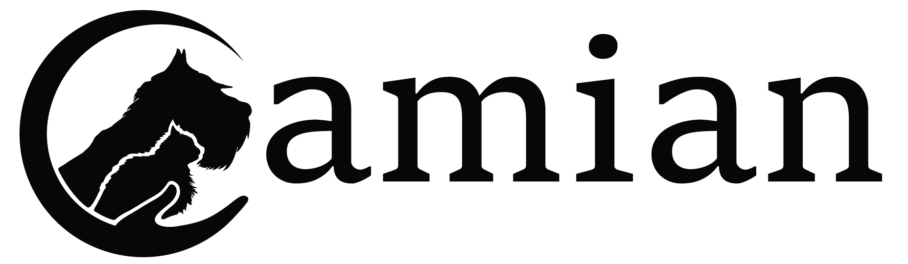 Camian